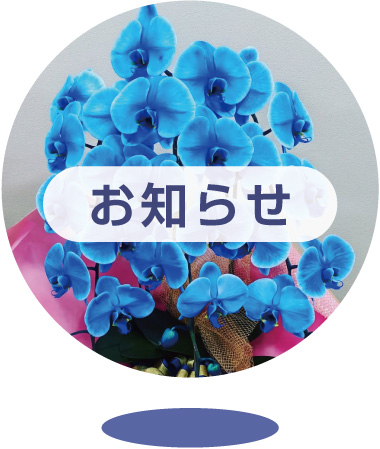 お知らせ